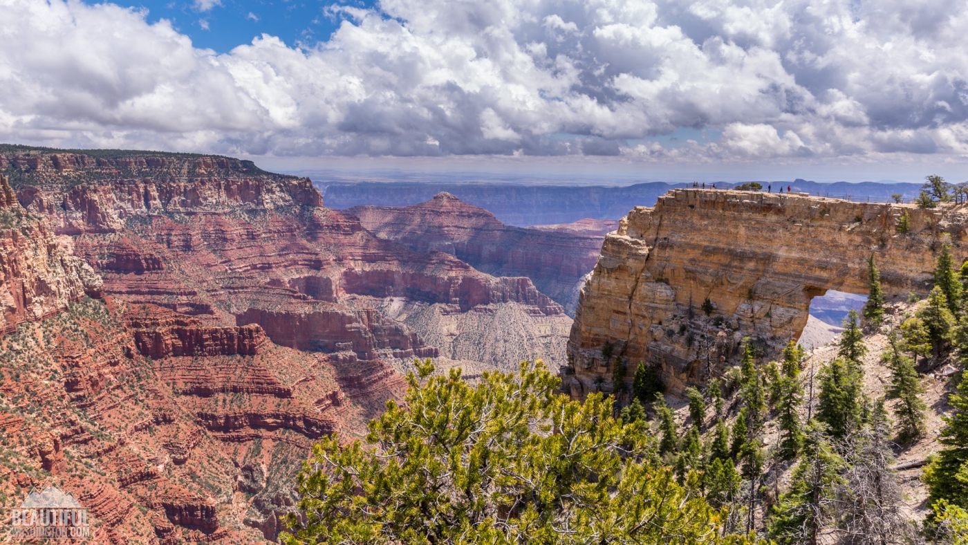 Cape Royal Trail / North Rim | ProArtInc