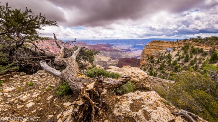 Amazing Nature - Grand Canyon