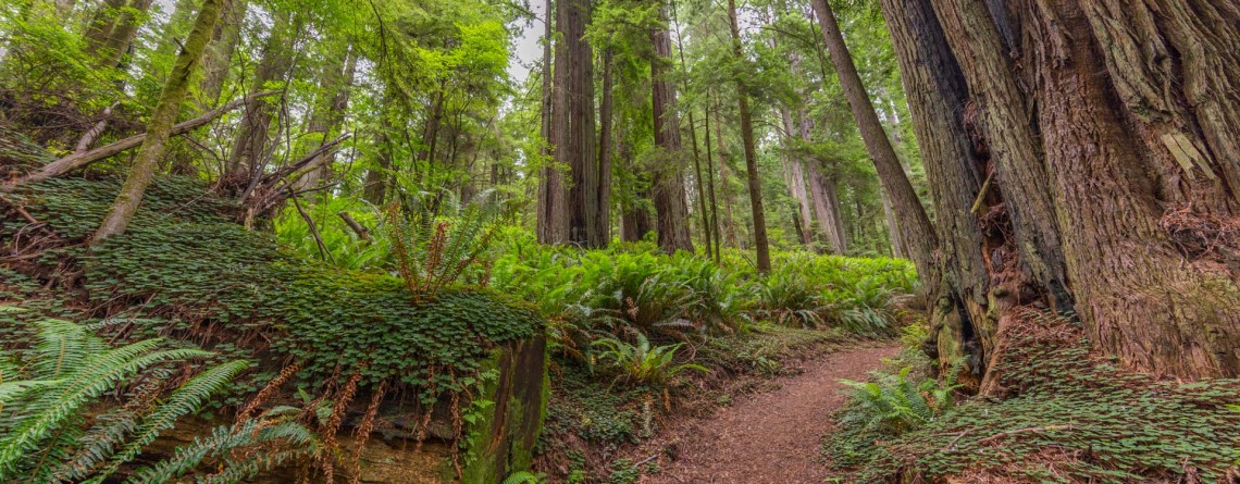 Berry Glen Trail 22