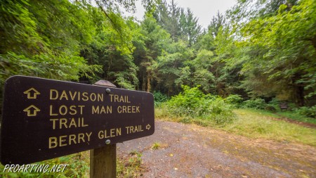 Berry Glen Trail 7