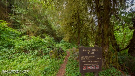 Berry Glen Trail 8