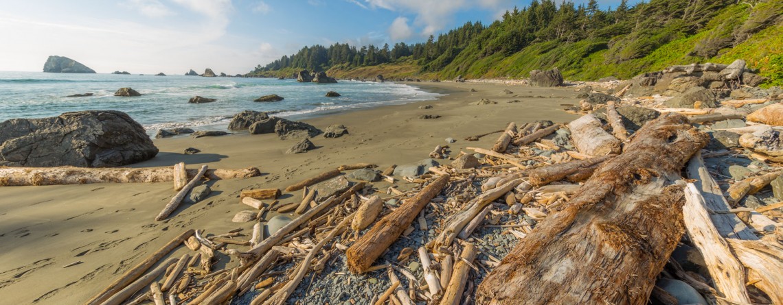 Coastal Trail, Hidden Beach Section 34