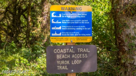 Coastal Trail, Hidden Beach Section 8