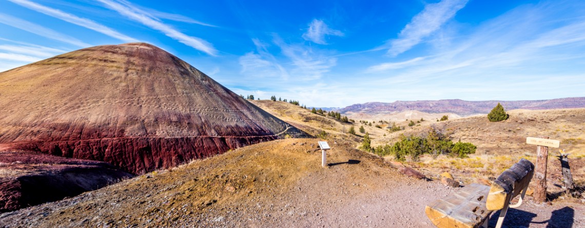 Leaf Fossil Trail 31