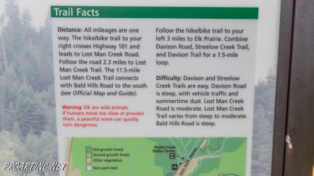 Trillium Falls Trail 3