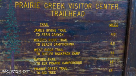 West Ridge and Prairie Creek Trail 1