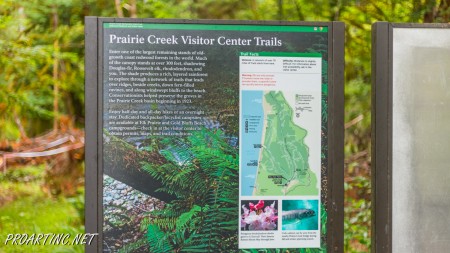 West Ridge and Prairie Creek Trail 2