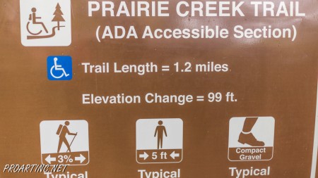 West Ridge and Prairie Creek Trail 3