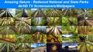 Amazing Nature: Redwood National and State Parks