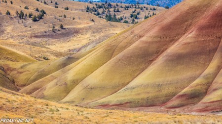 John Day Fossil Beds National Monument 10