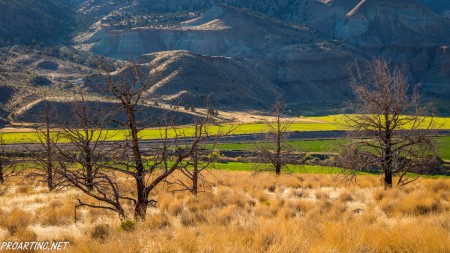 John Day Fossil Beds National Monument 14