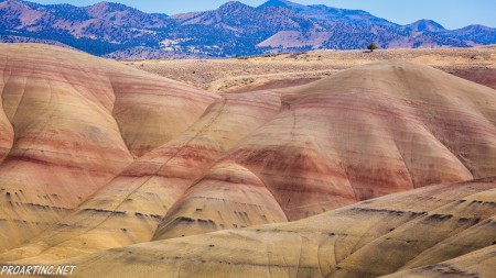 John Day Fossil Beds National Monument 7