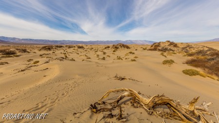 Mesquite Falls Sand Dunes 10