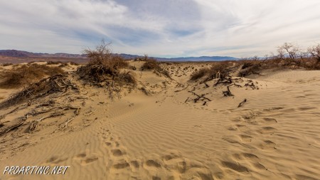 Mesquite Falls Sand Dunes 11