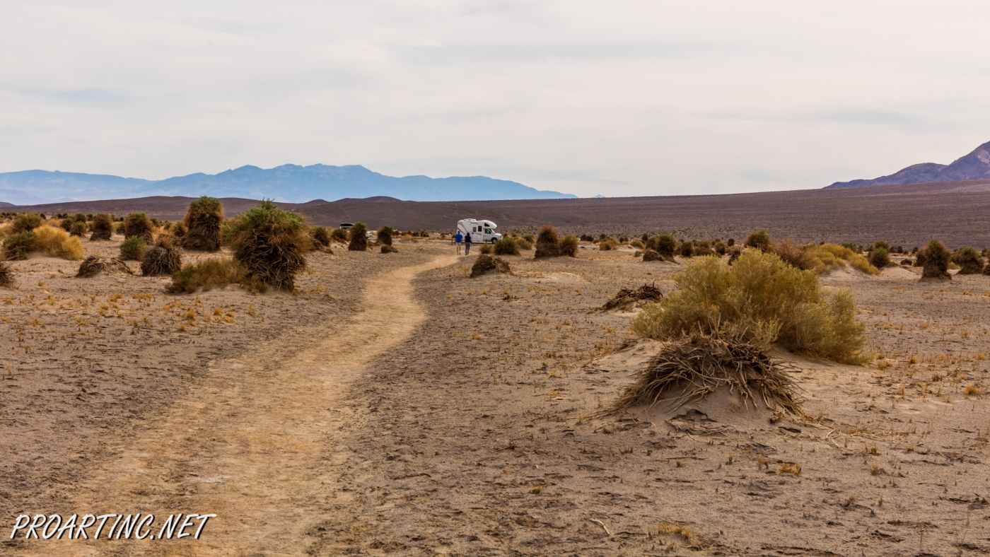Mesquite Falls Sand Dunes 24