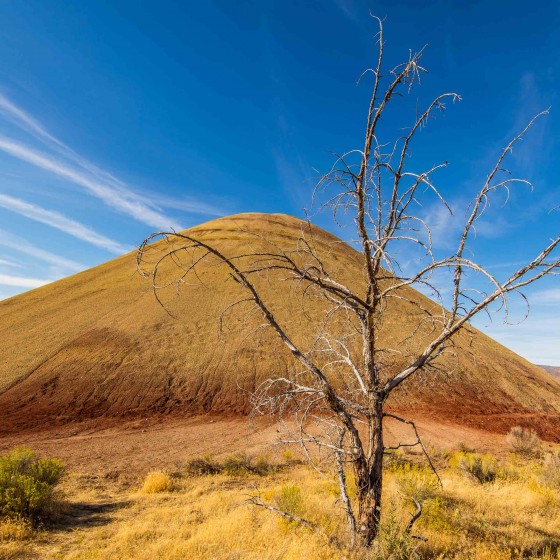 Red Scar Knoll Trail