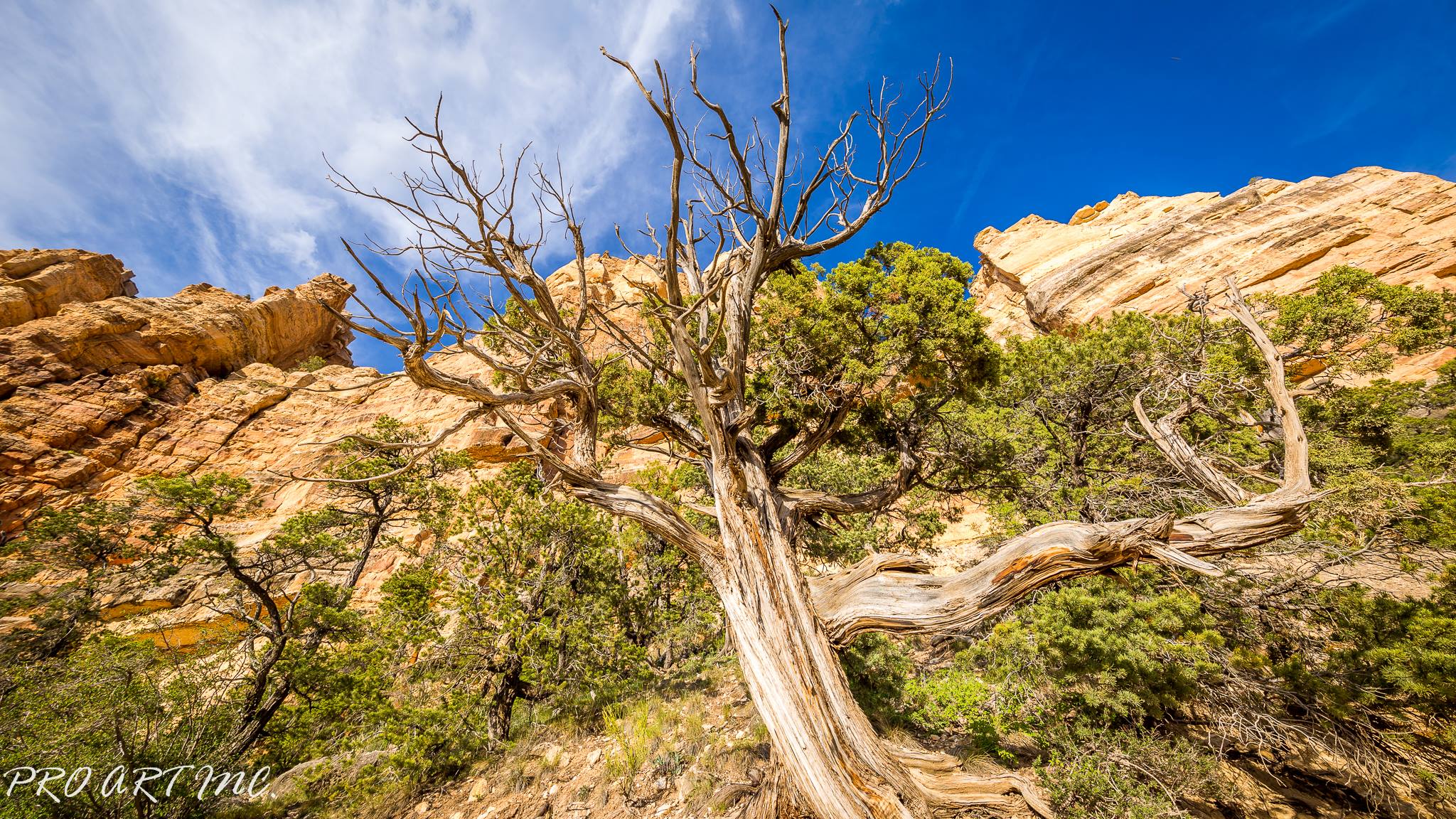 South Kaibab Trail, Grand Canyon National Park