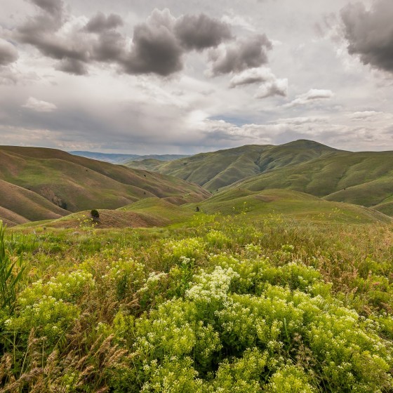 Oregon, Baker County, Lookout Mountain Road- Spring