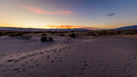 Death Valley National Park 15