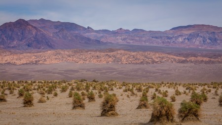 Death Valley National Park 17