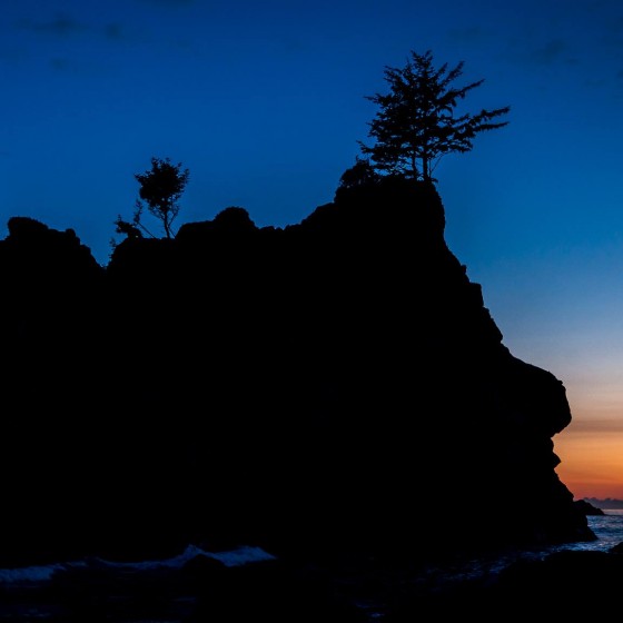 Coastal Trail, Hidden Beach Section, Redwood National and State parks