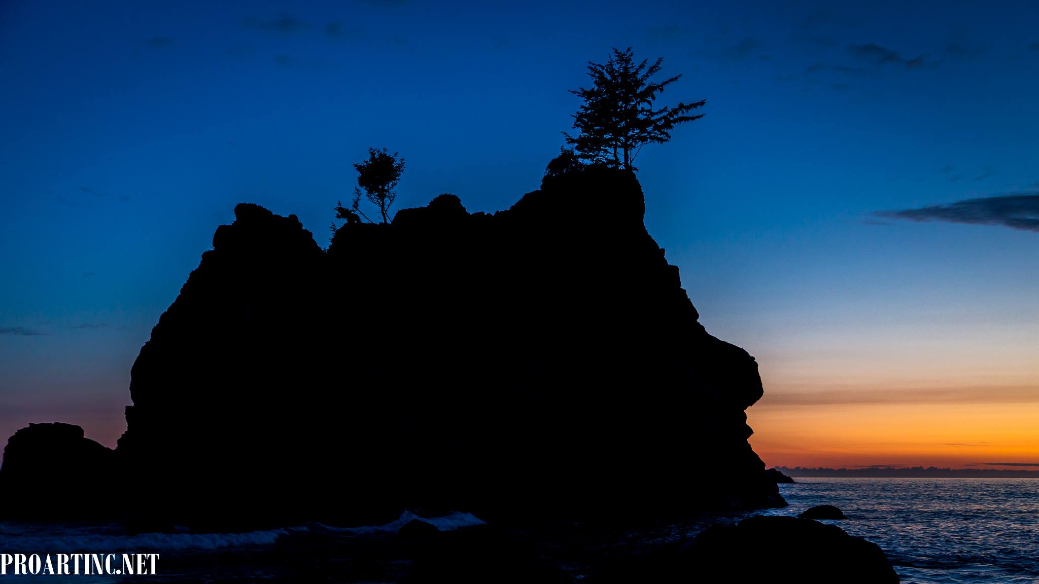 Coastal Trail, Hidden Beach Section, Redwood National and State parks