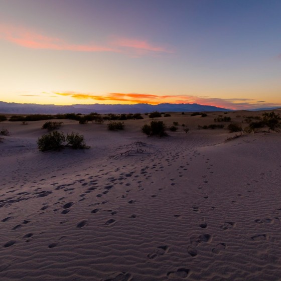 Mesquite Flat Sand Dunes, Death Valley National Park