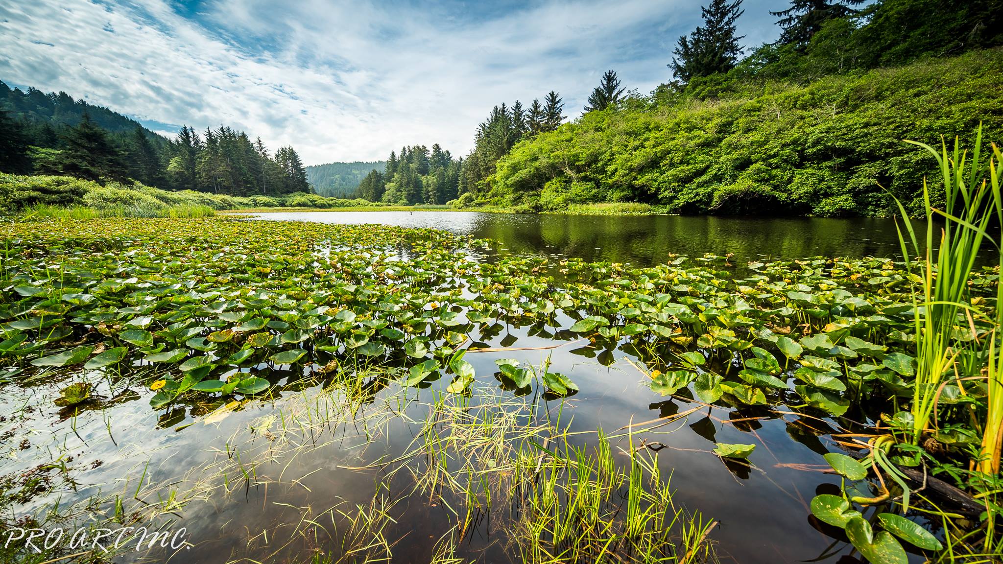 Yurok Loop Trail, Redwood National and State Parks