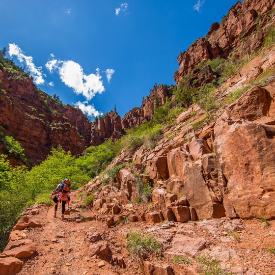 View from North Kaibab Trail, Grand Canyon, North Rim