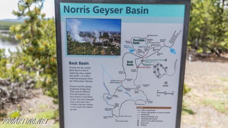 Back Basin - Norris Geyser Basin 1