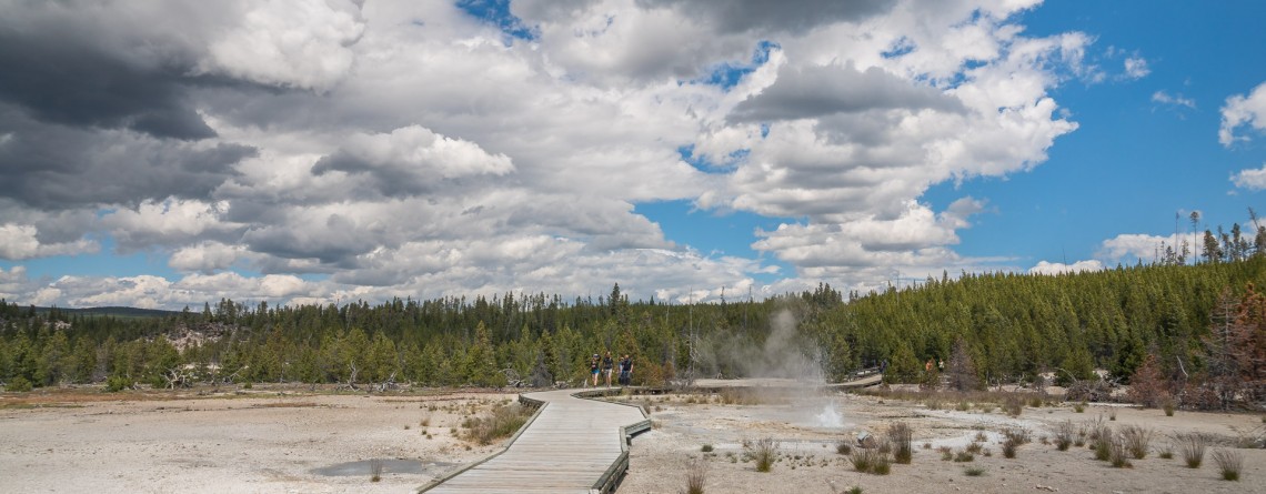 Back Basin - Norris Geyser Basin 18