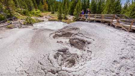 Yellowstone National Park 5