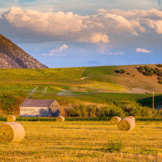 Montana, near Yellowstone National Park