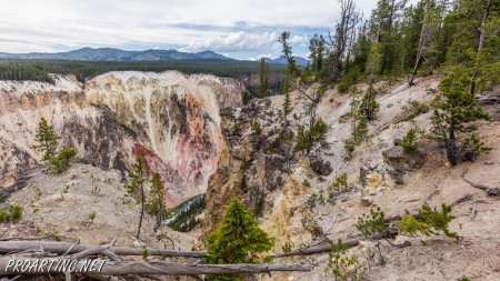 Point Sublime, Yellowstone National Park 25
