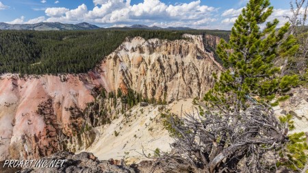 Point Sublime, Yellowstone National Park 7