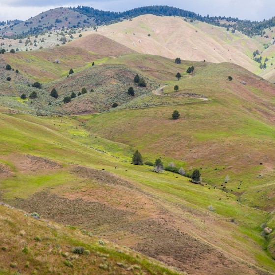 Oregon, Baker County, Lookout Mountain Road