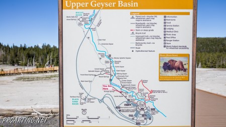 Upper Geyser Basin 1