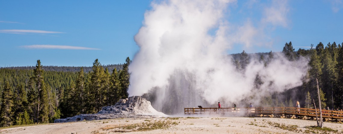 Upper Geyser Basin 14