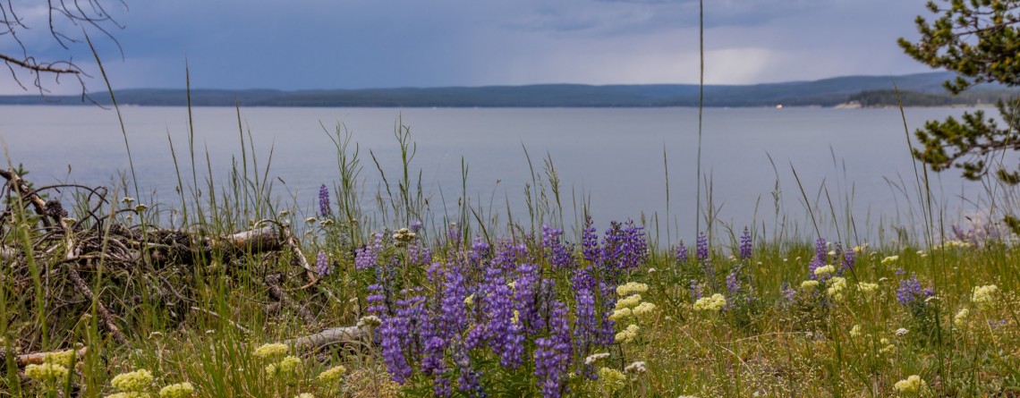 Pelican ?reek Nature Trail 16