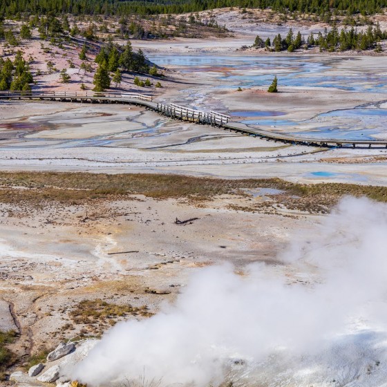 Porcelain Basin, Yellowstone National Park
