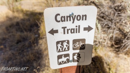 Canyon Trail 1