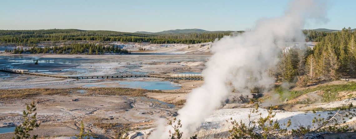 Porcelain Basin of Norris Geyser Basin 20