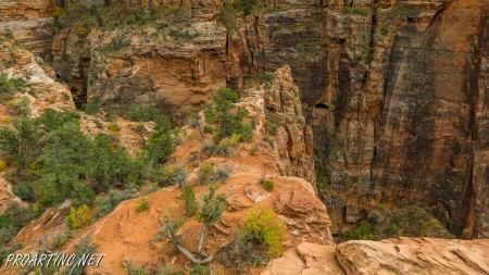 Canyon Overlook 21