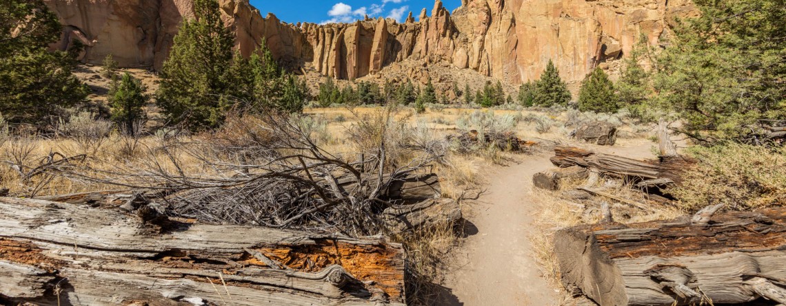 Rope de Dope Trail 16