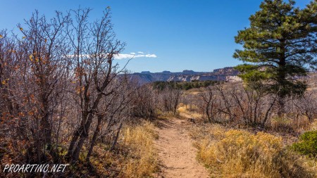 East Mesa Trail 10
