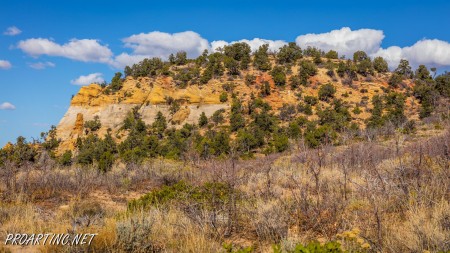 East Mesa Trail 17