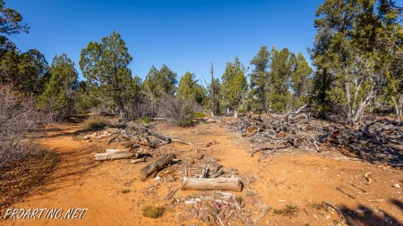 East Mesa Trail 2