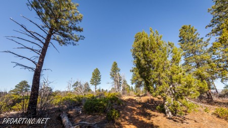 East Mesa Trail 4