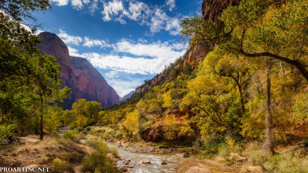 Fall colors at Zion National Park