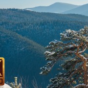 4K Nature Relaxation Video - Winter in the Carpathians